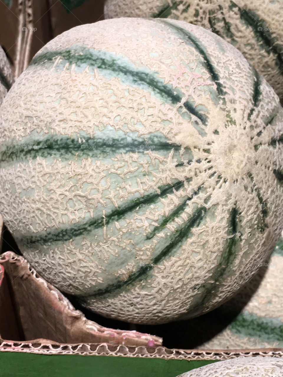 Cantaloupe