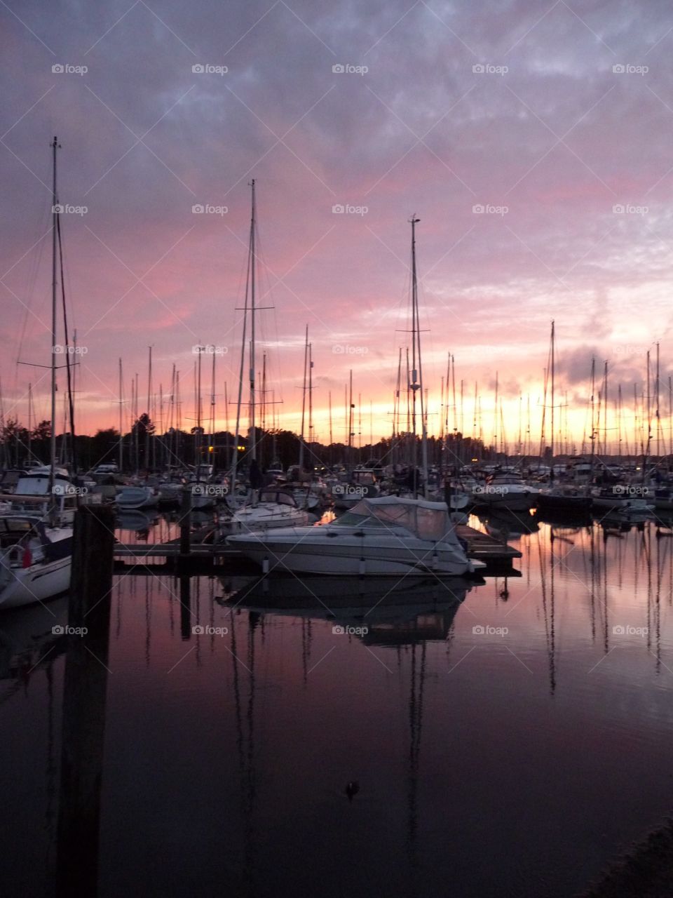 Chichester harbour  