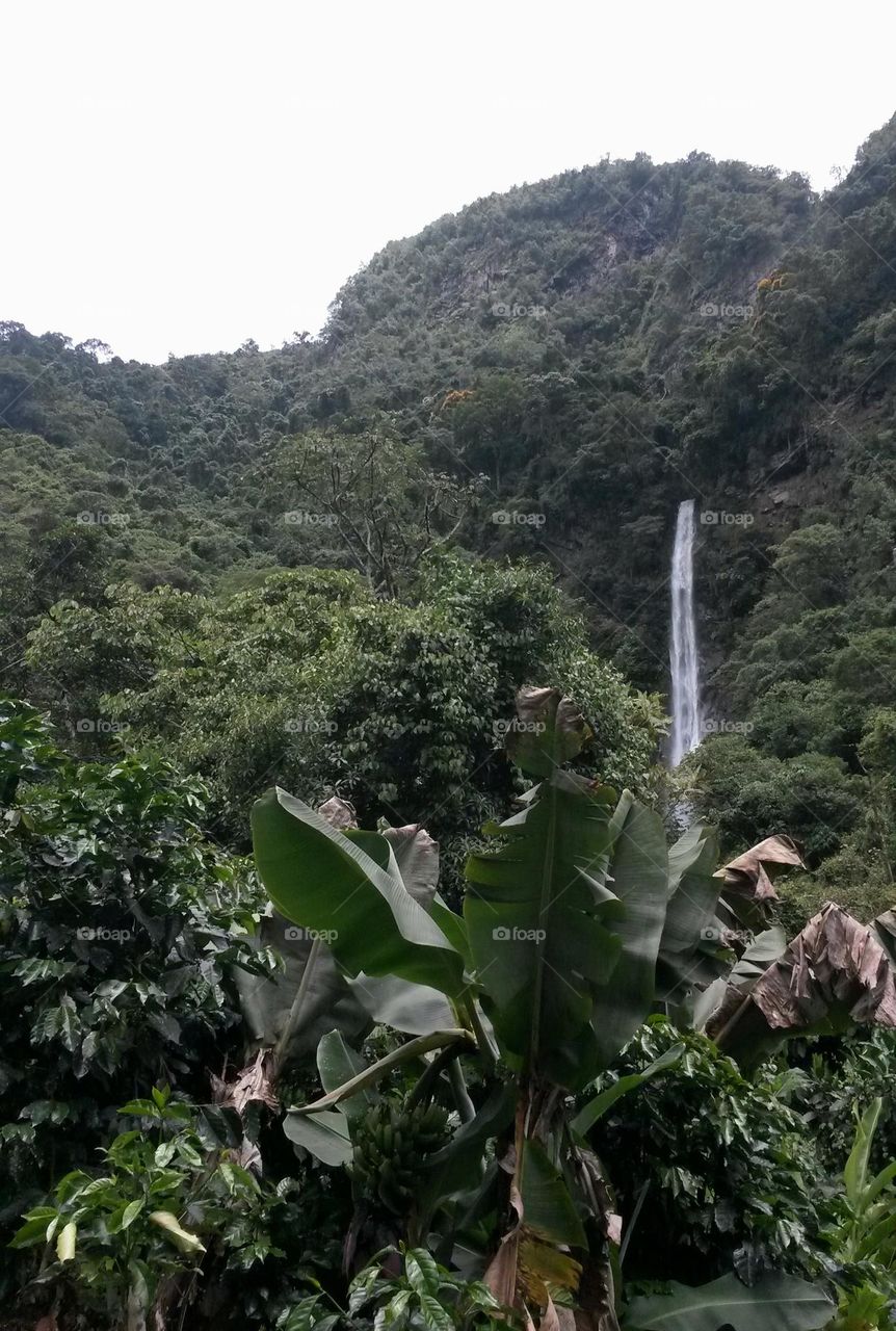 Yanai Waterfall Peru
