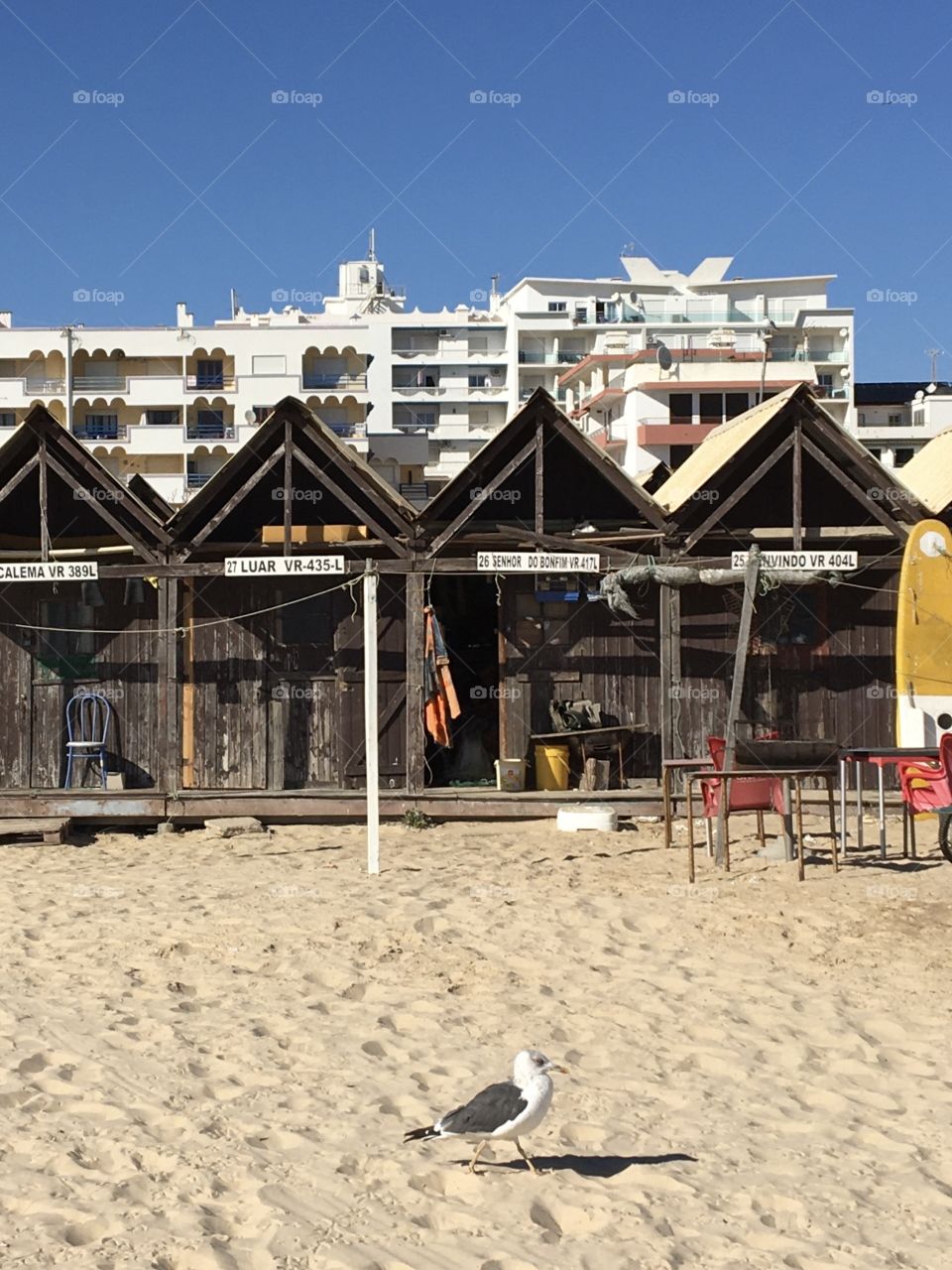 Seagull, fisherman cabins and buildings 