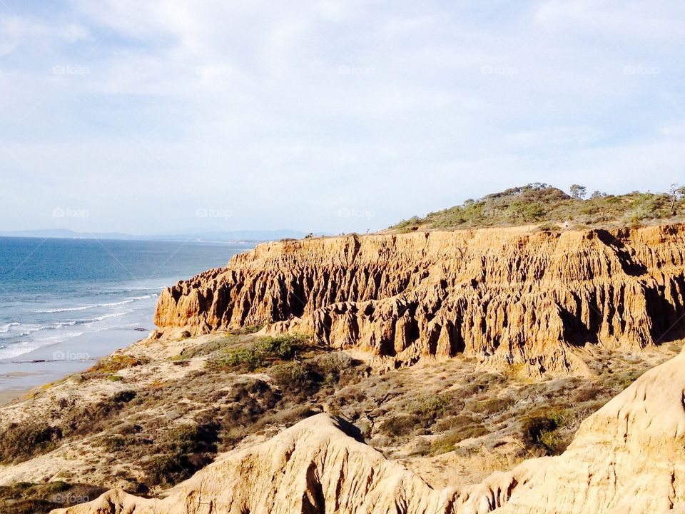 Torrey Pines. Torrey Pines Cliffs