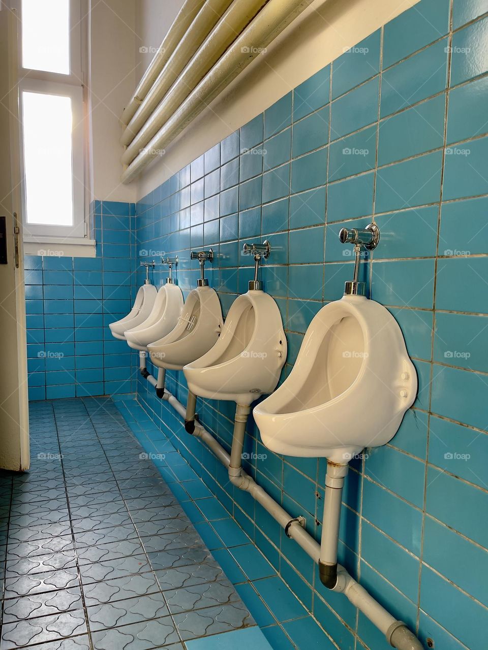 Line of white urinals on the blue wall 