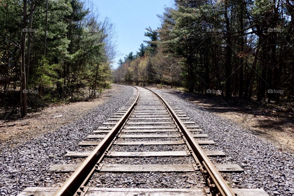 Railroad tracks curving in the woods