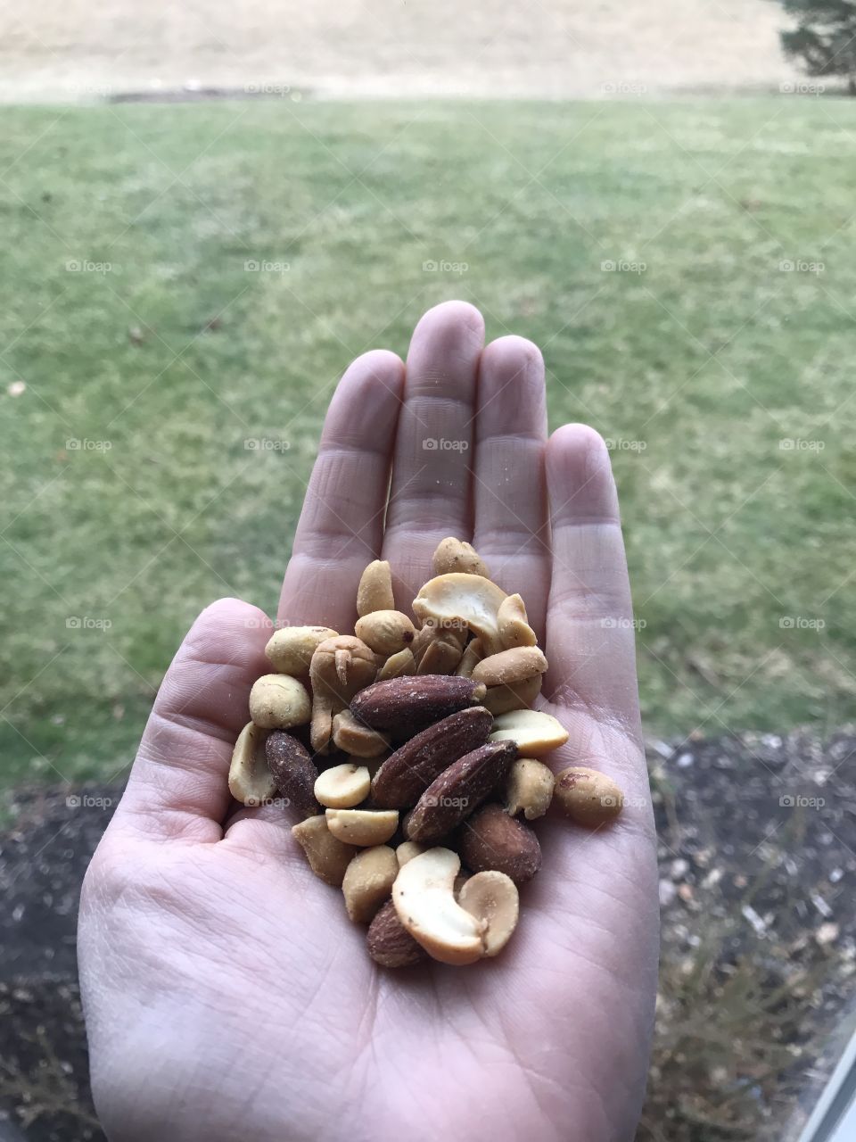 Handful of nuts hand 