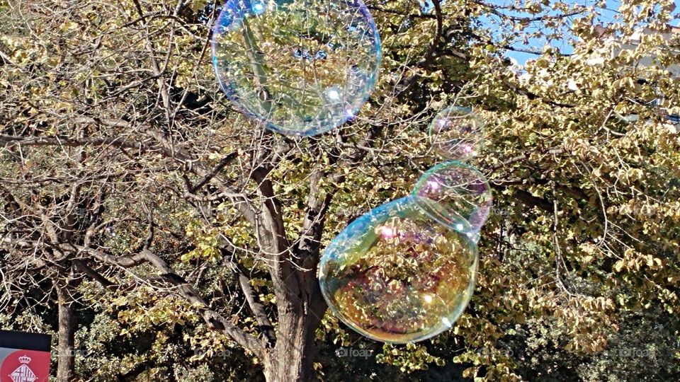 bubbles