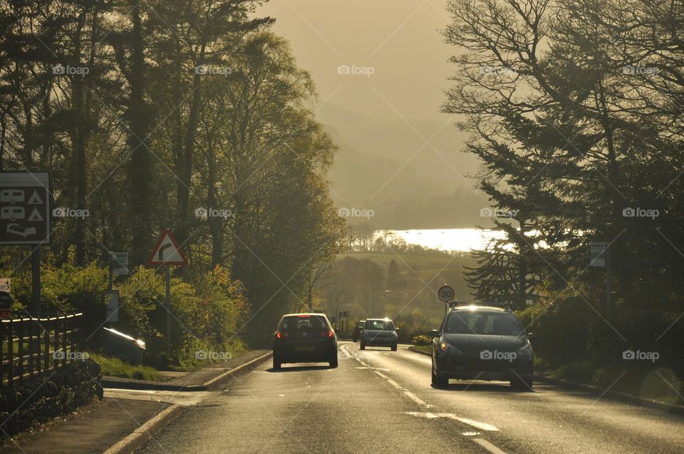 Cars and Ridesharing Services