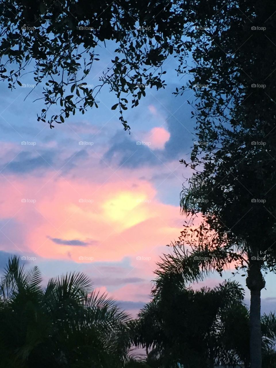Sunset. Palm trees. Live Oak. Sky. Clouds. Colorful. Peaceful. Serenity. 