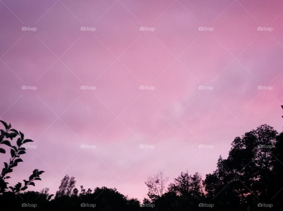 Pink clouds at sunset.