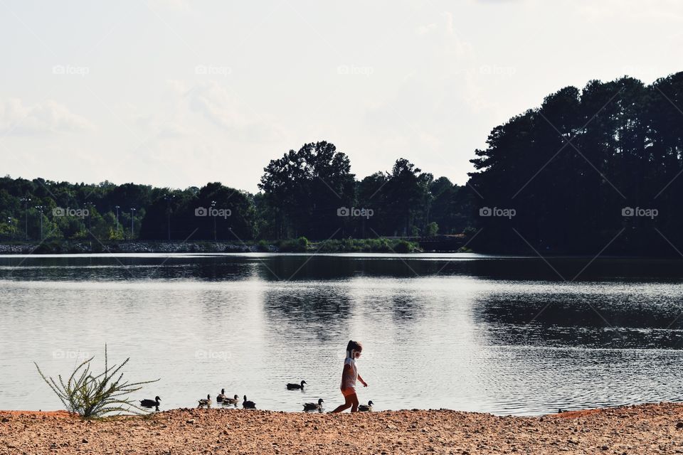 Walking with the ducks