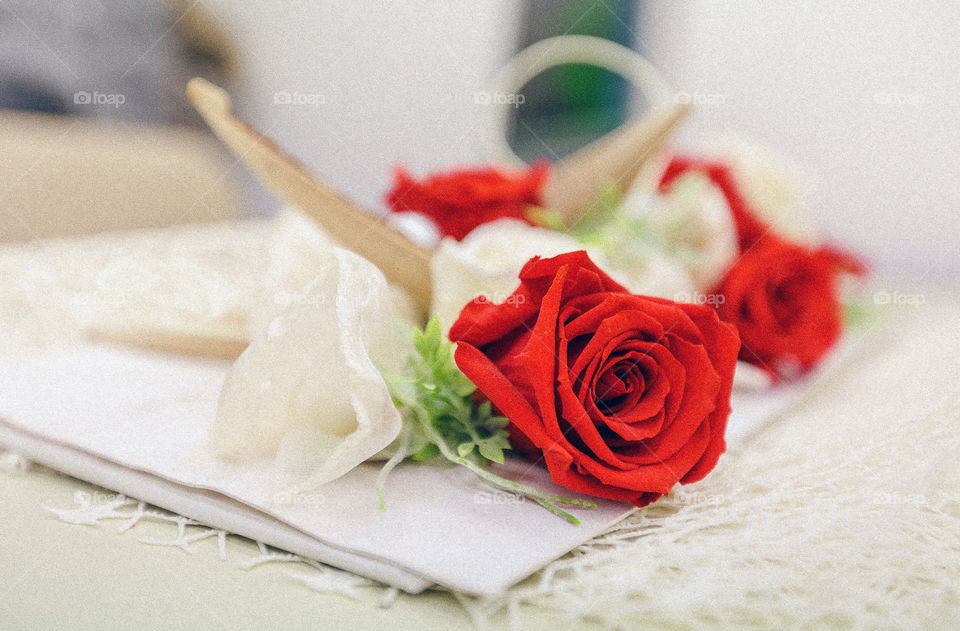 Close-up of red roses