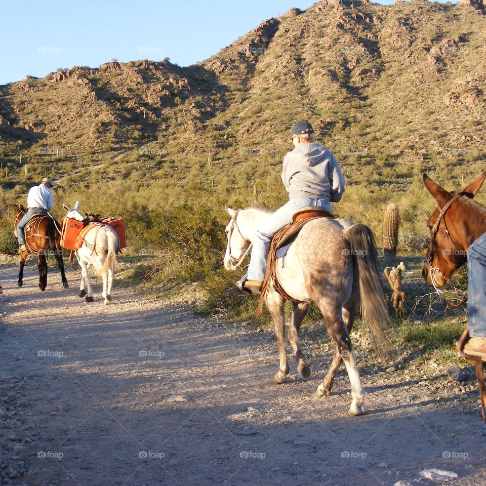 These people are on a trail in the desert of the Arizona mountains.