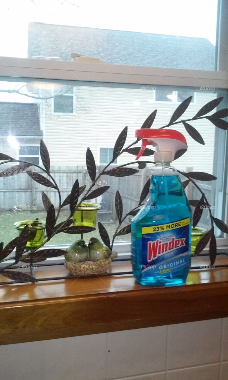 Windex