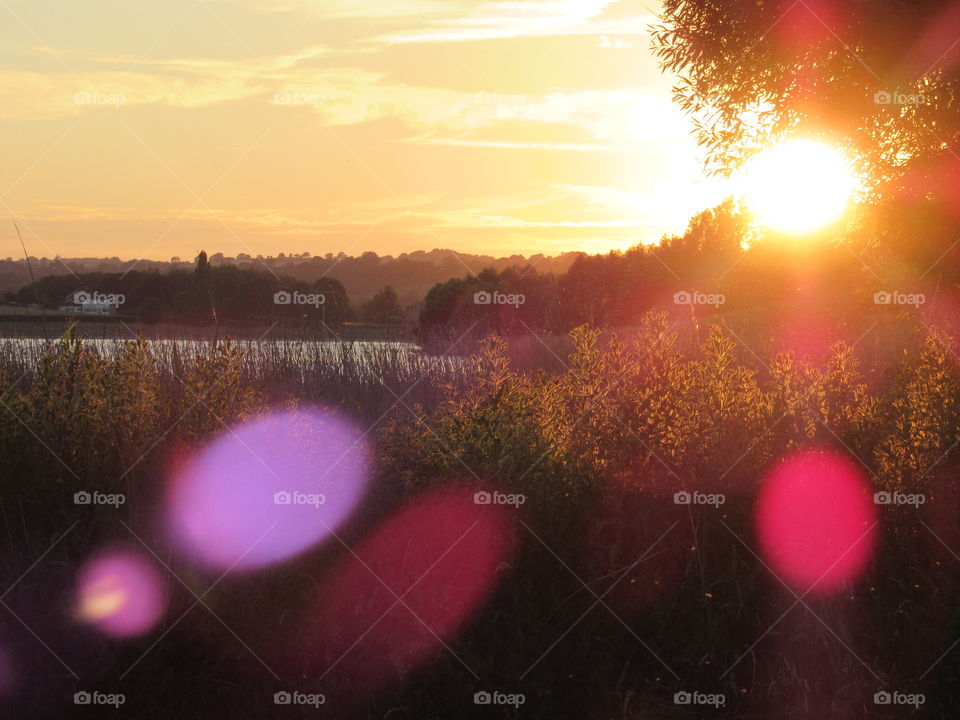 Sunset with beams of reflective light bouncing of camera lens and making  nice circles of lilac and cerise shades