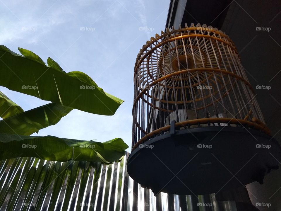 birdcage in the backyard