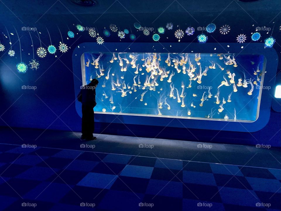 A man in front of jellyfish tank in aquarium 
