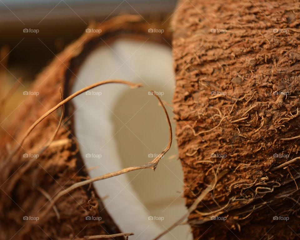 coconut