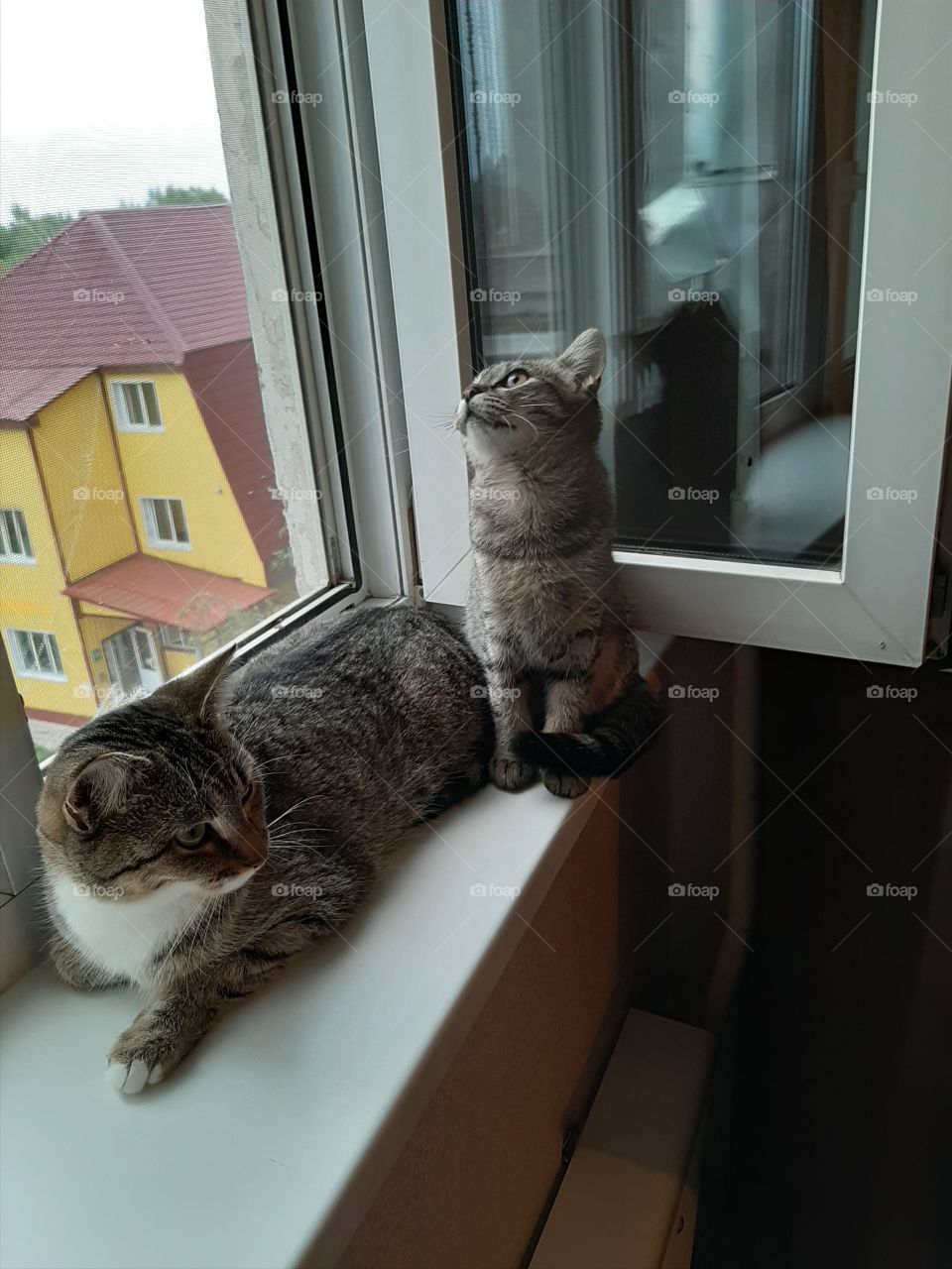 Я   немного    помечтаю  можно?