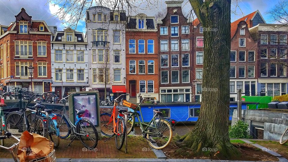 Amsterdam Scene