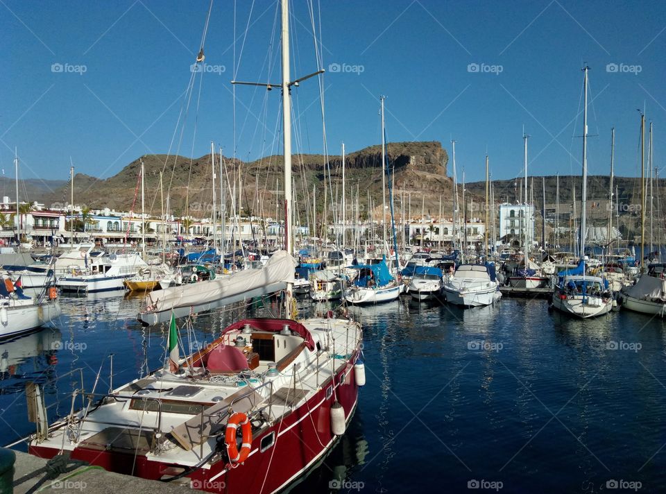 Harbor, Yacht, Sea, Marina, Sailboat