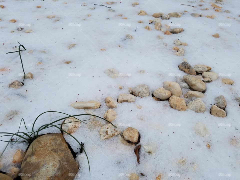 Snowy stones and powerful grass