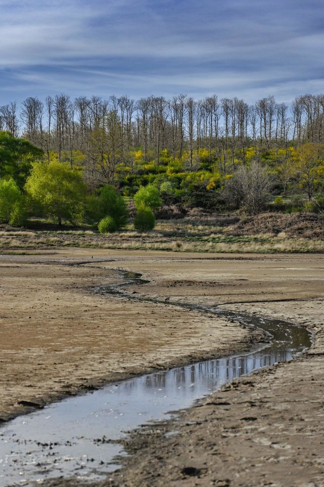 Brown river