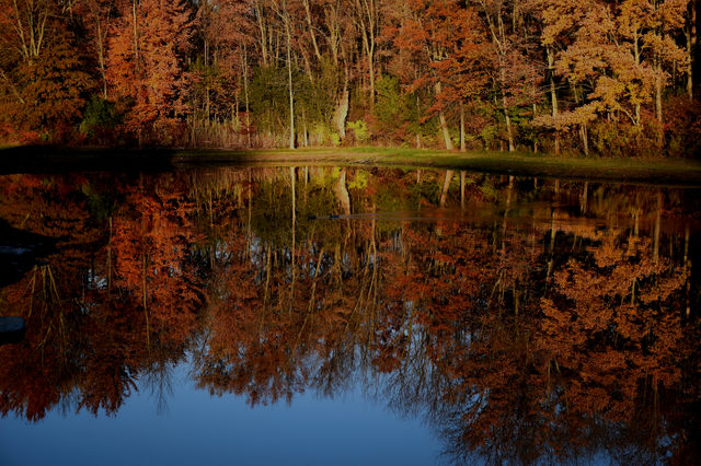 Reflection