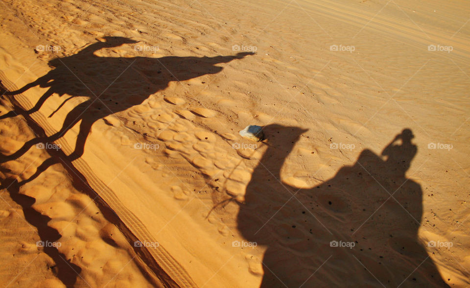 Camel shadows. Shadows of our camels at out track through the desert