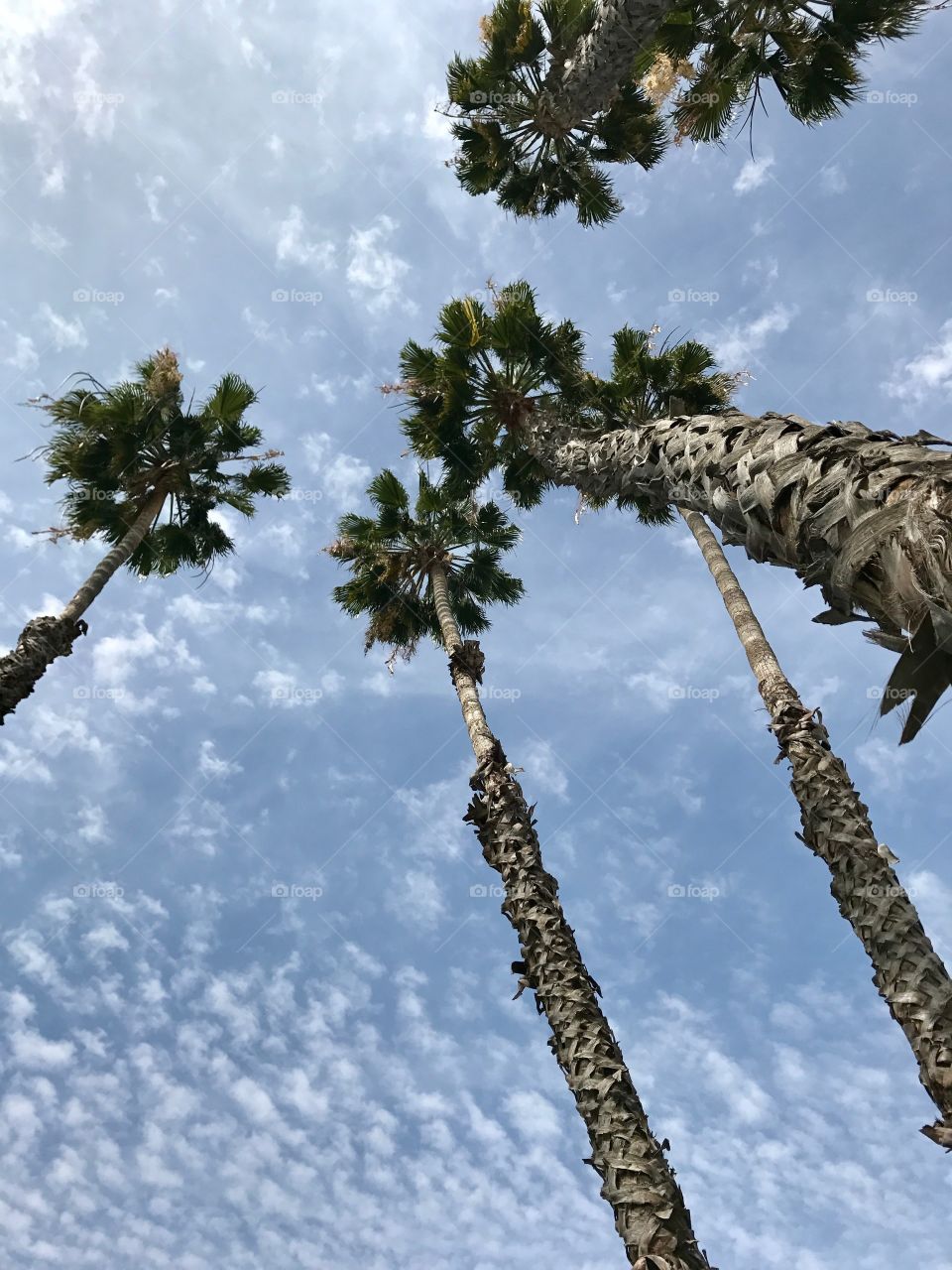 Tomorrow will be better 