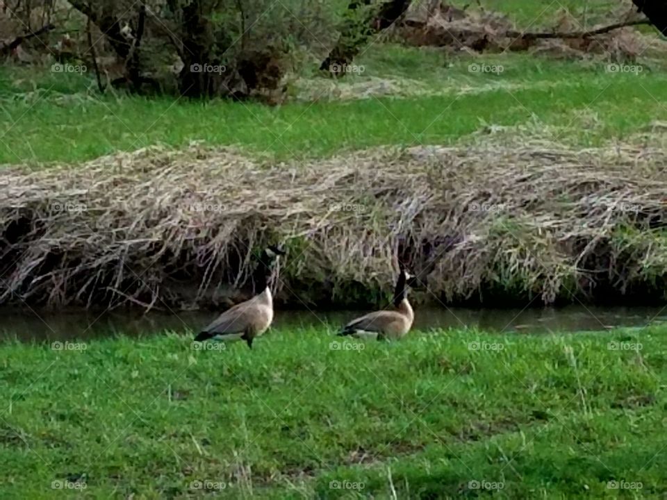 Driving the back Roads and enjoying everything around us