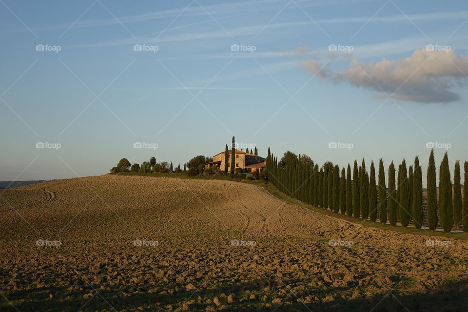 Tuscany view