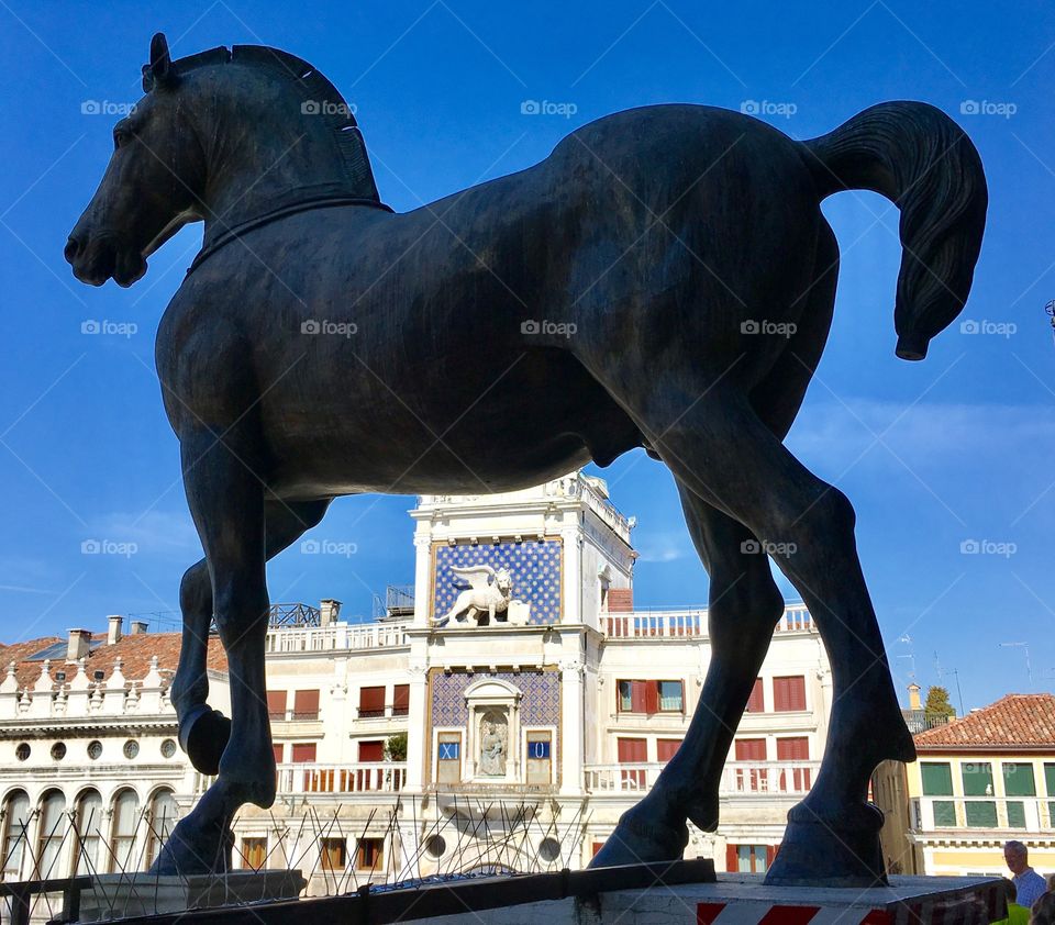 Horse of San Marco