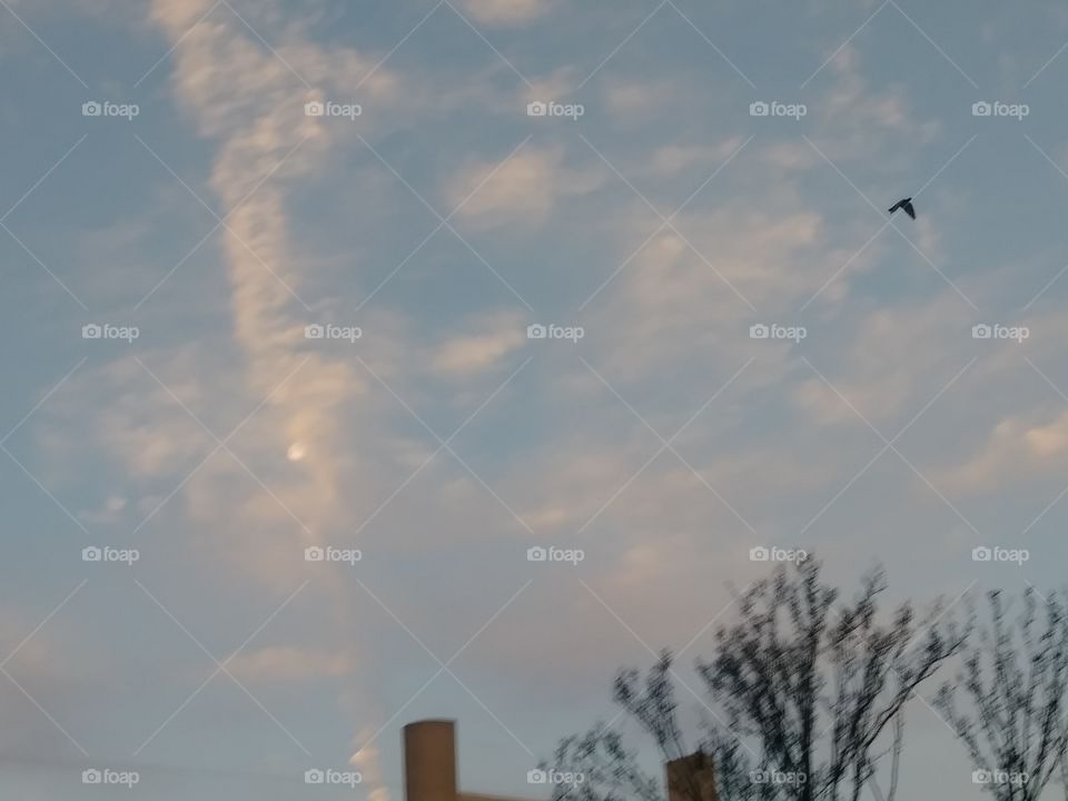 moon peaking out of clouds and plane trail at sunrise