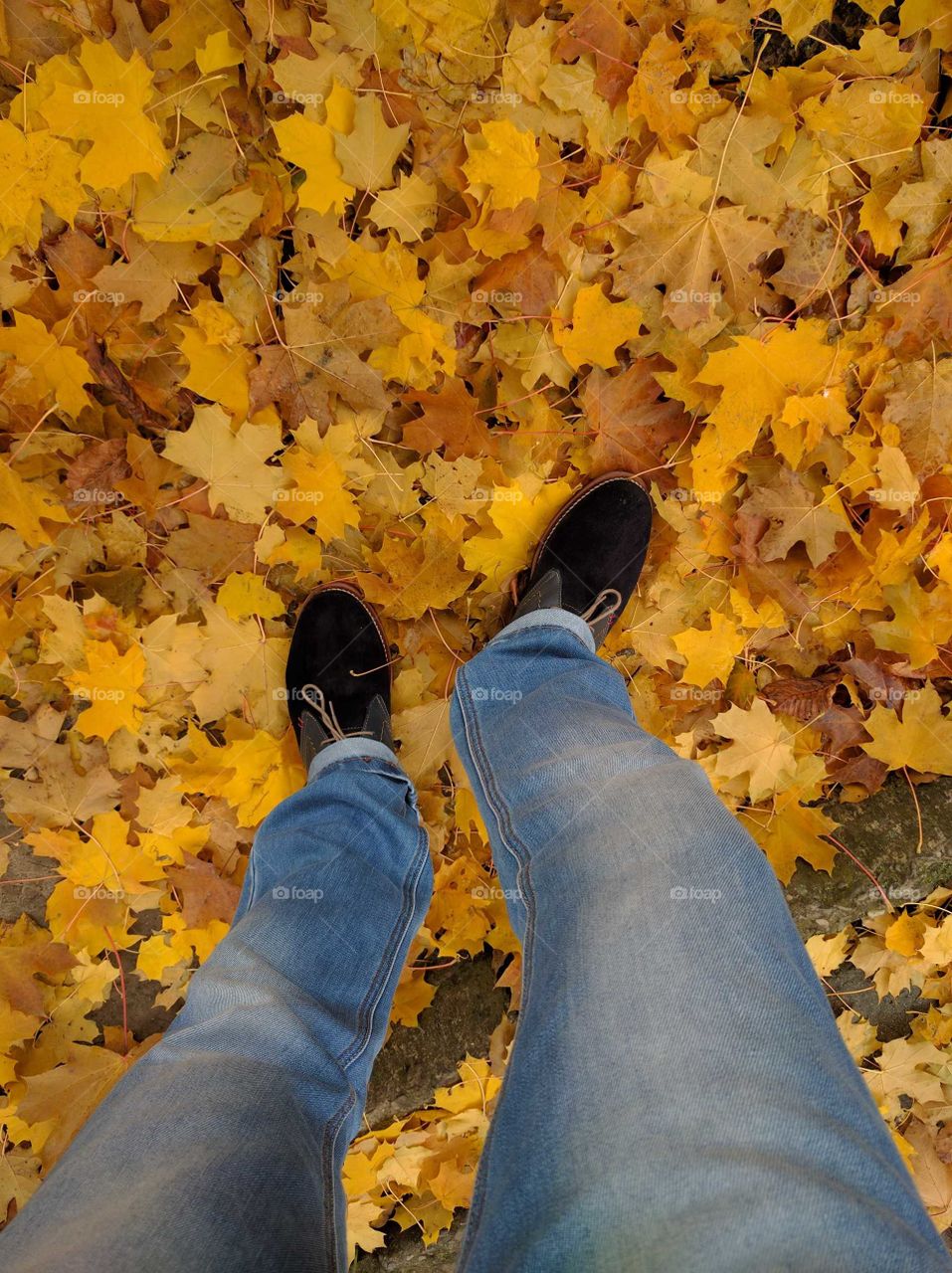 man legs in shoes on the leaves background