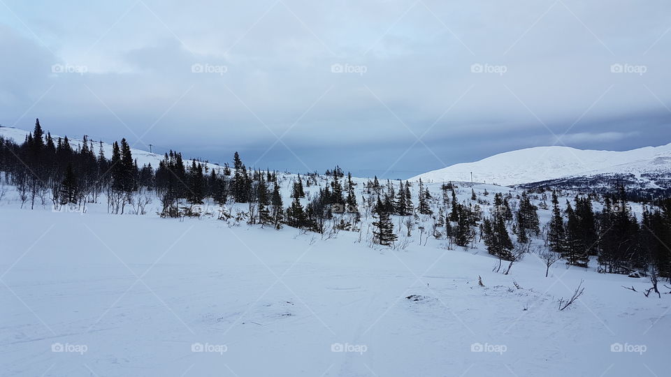 Winter in the mountains