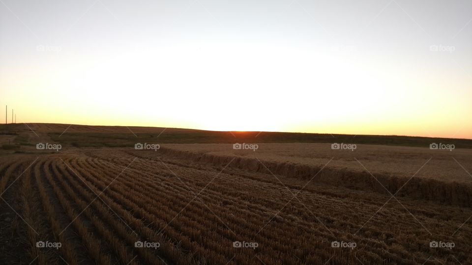 Landscape, Sunset, Desert, Cropland, No Person
