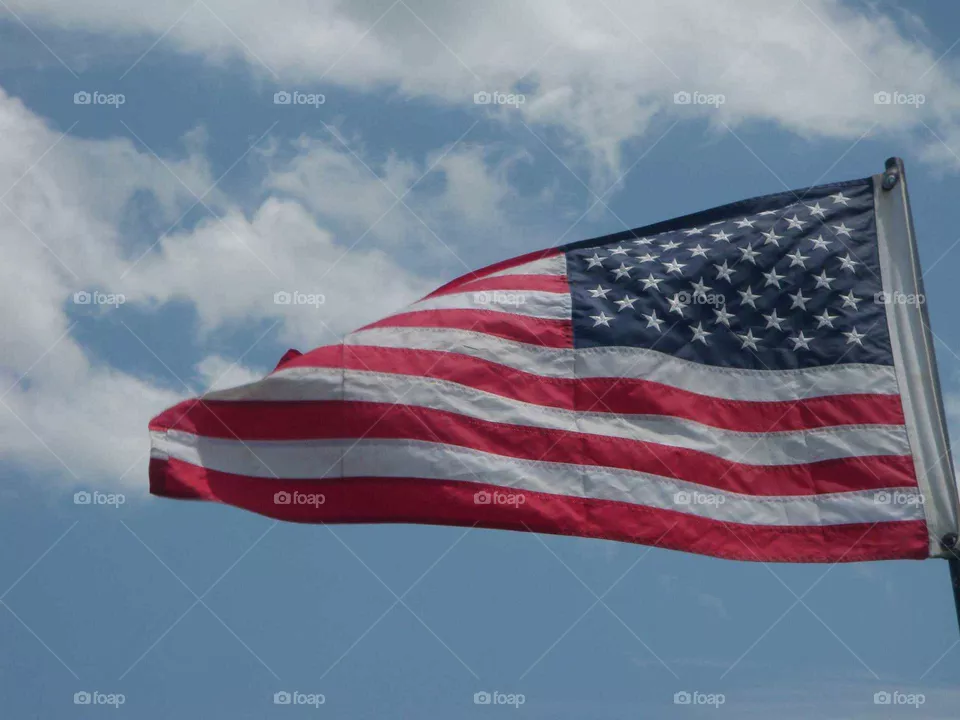flags