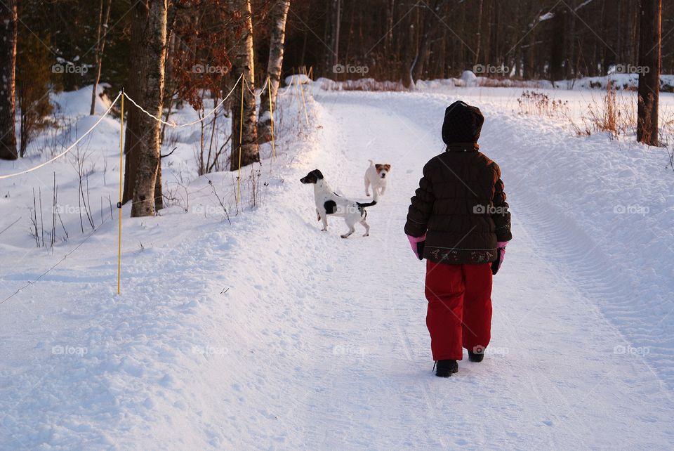 Snow, Winter, Cold, Ice, Weather