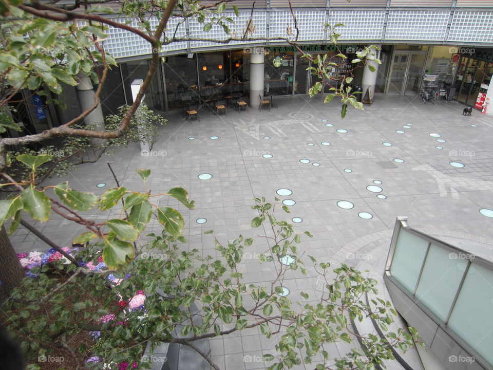 View from Top of Stairway, Nakameguro, Tokyo, Japan.  Trees and Outdoor Sitting Area