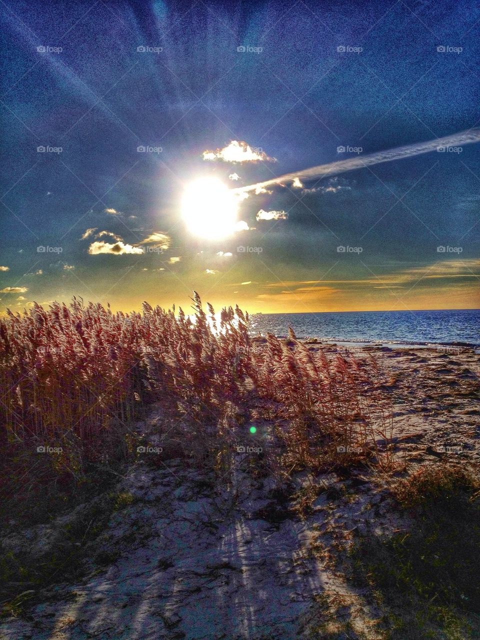 Beach walk