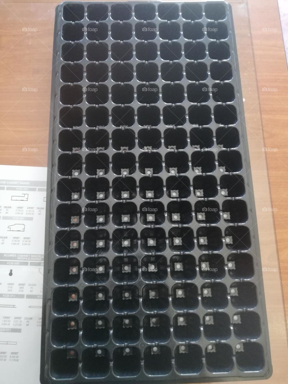 seeding trays