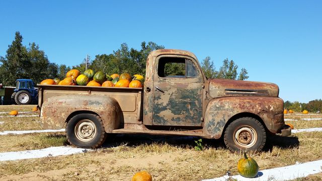 Vintage Ford full of pumpkins