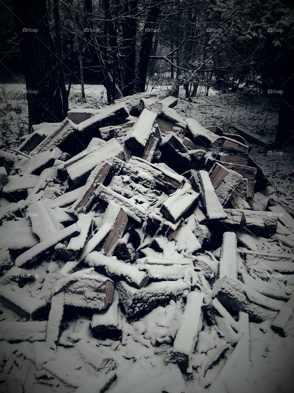 winter wood pile