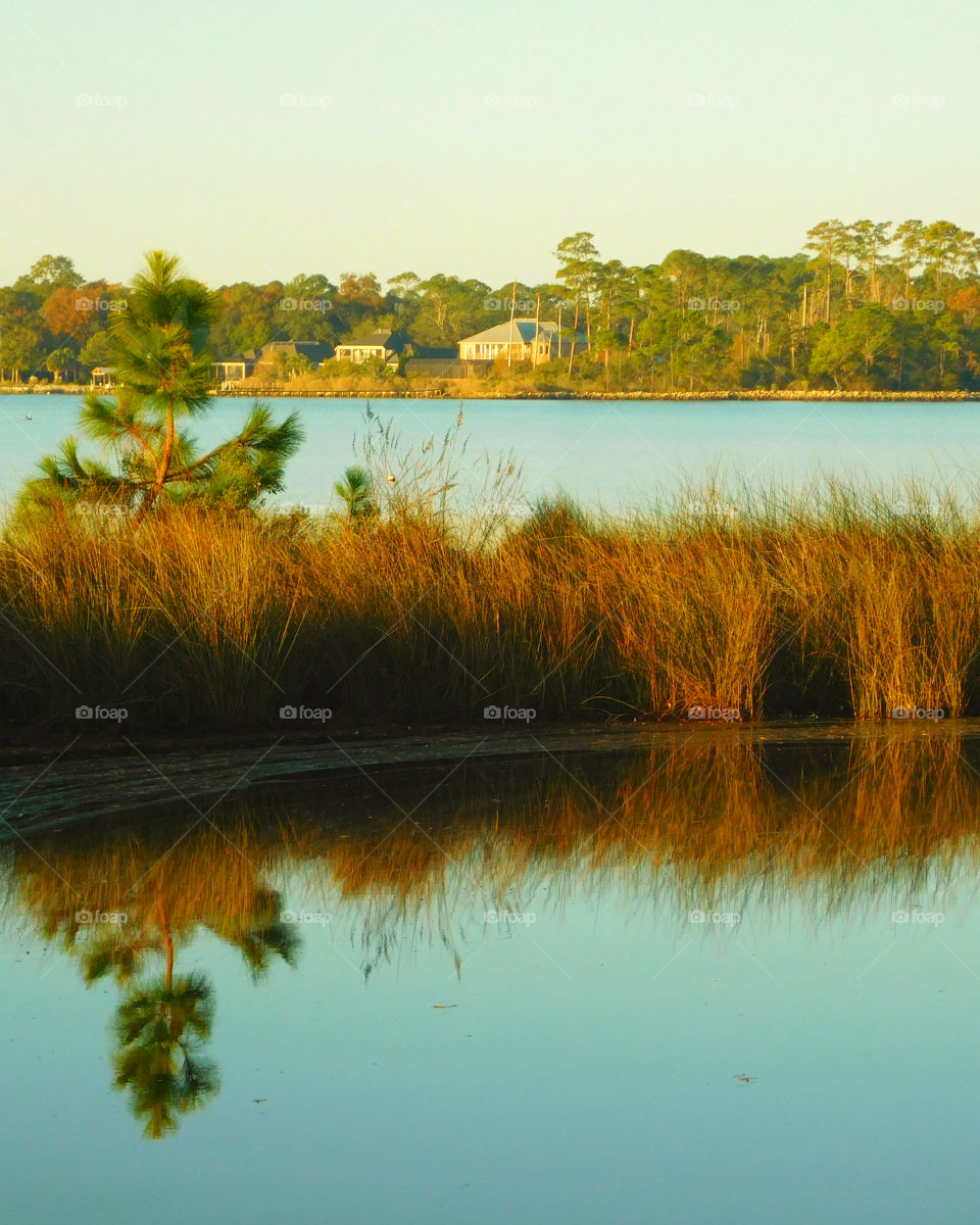 Bayou meets the Bay!
Tall grasses separate the bayou from the bay as the morning sun engulfs it!