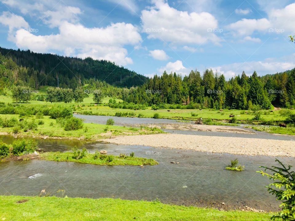 Природа прекрасна