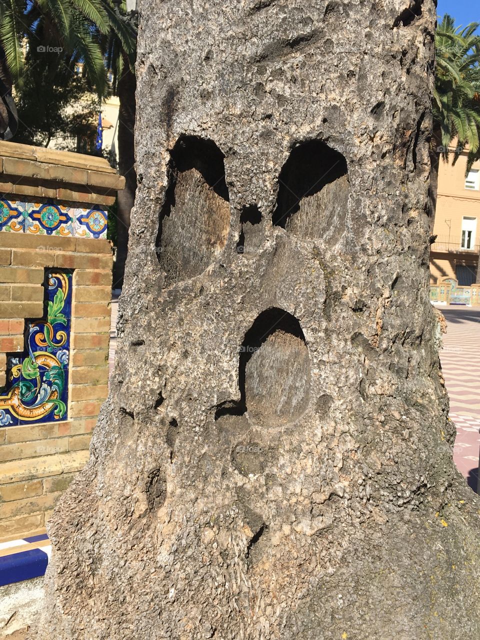 Seeing a Halloween face on a palm tree trunk makes me smile ! 