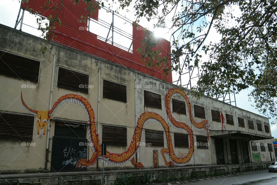 dragon. graffiti in messina