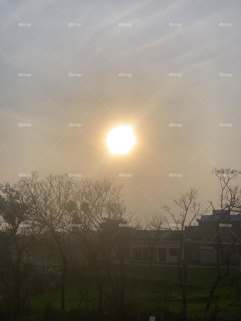 sun 