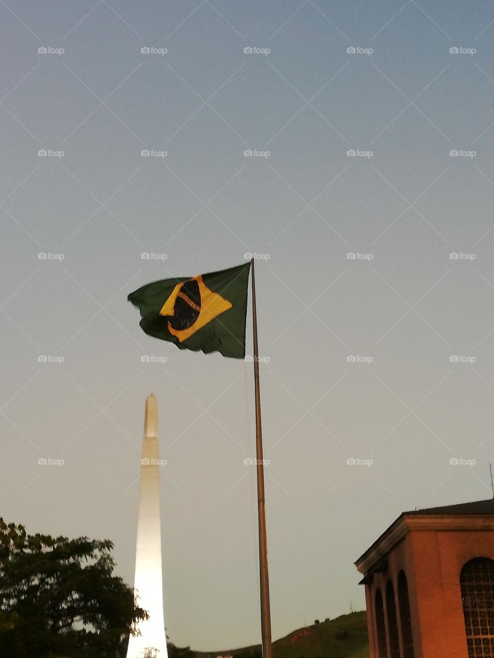 Brazil flag