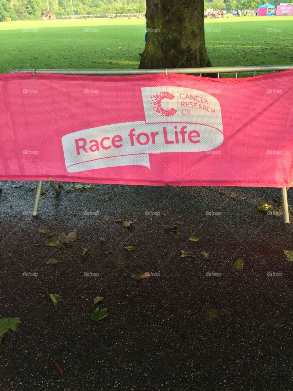 cancer research banner