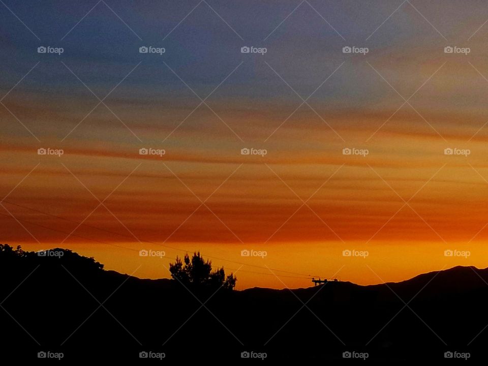 orange and blue sunset with tree silhouette